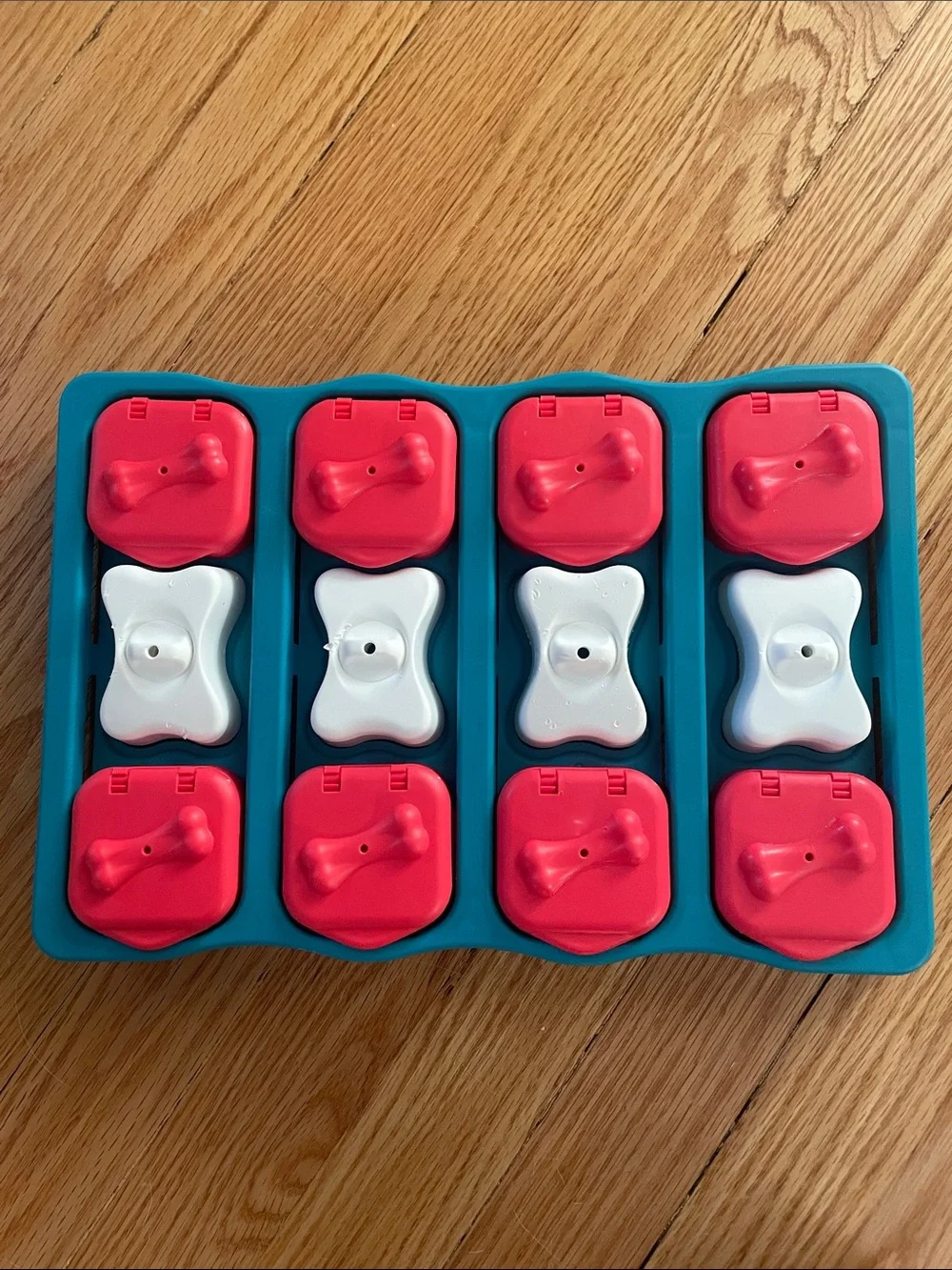 Nina Ottosson Outward Hound Treat Puzzle Toy